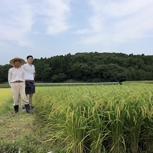 【※玄米】2021年産 加藤新一郎と父 加藤一栄の自家栽培 岩船産コシヒカリ　6kg
