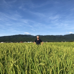 【※玄米】2021年産 和田崇の自家栽培 岩船産コシヒカリ　6kg