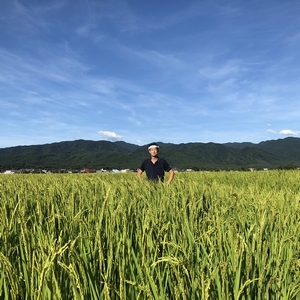 【※玄米】2025年産 岩船産コシヒカリ　製品部 和田崇の自家栽培　6kg
